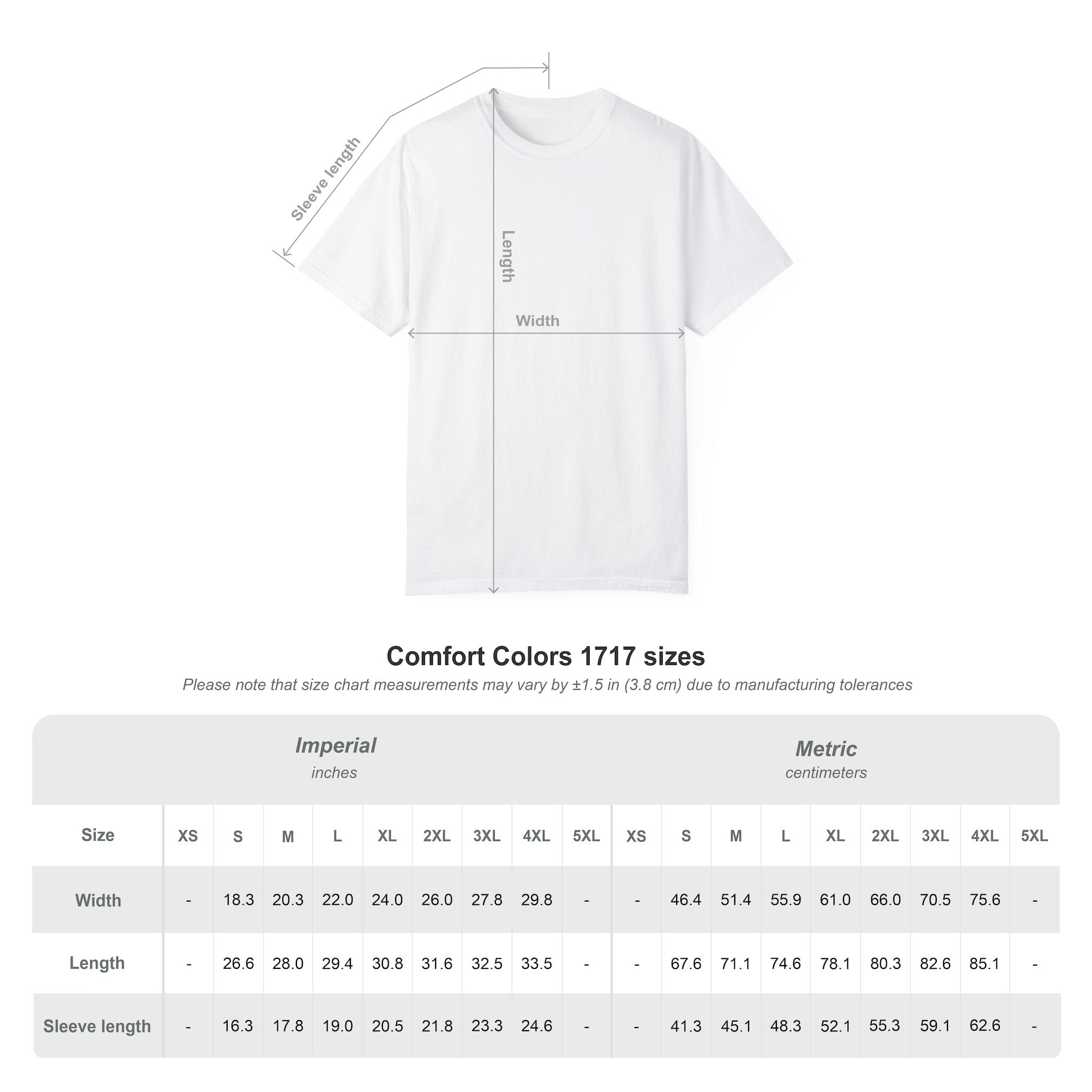 Unisex Garment-Dyed Black T-shirt